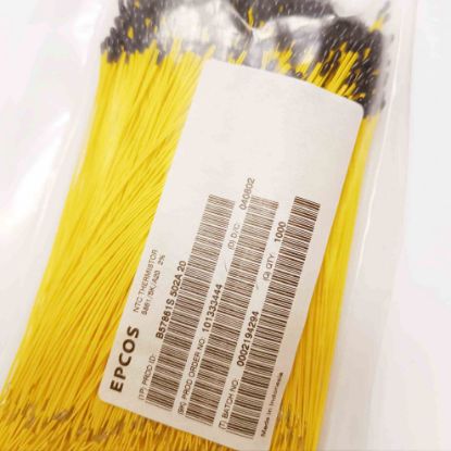 Picture of B57861S502A20 5K NTC THERMISTOR CAPACITOR