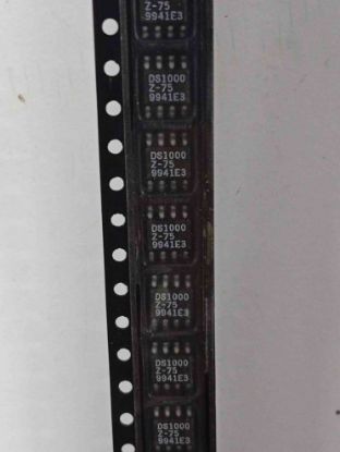 Picture of DS1000Z-75 IC