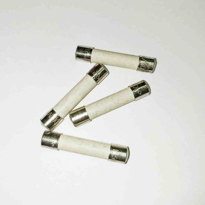 Picture of 500 mA  FUSE