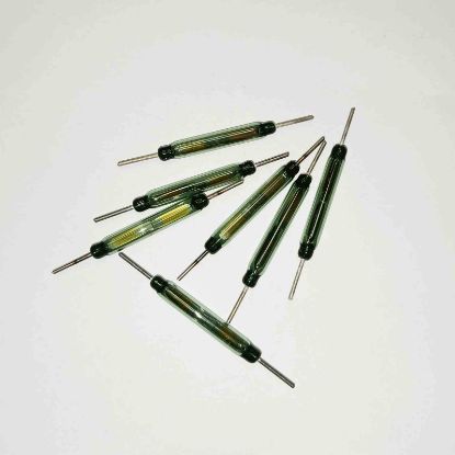 Picture of REED RÖLE 36 mm